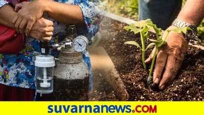 ಡಿಸ್ಚಾರ್ಜ್ ಆದ ಕೊರೊನಾ ಸೋಂಕಿತರಿಗೆ ಗಿಡ ಬೆಳೆಸಿ ಎಂದ ವೈದ್ಯರು