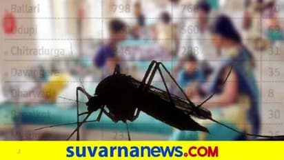 ವಿಶ್ವದ ಮೊದಲ ಮಲೇರಿಯಾ ಲಸಿಕೆಗೆ ಡಬ್ಲ್ಯುಎಚ್ಒ ಅಸ್ತು!