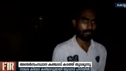 കൊല്ലം ജില്ലയിലെ കഞ്ചാവ് കടത്ത് സംഘത്തിലെ പ്രധാനി പിടിയില്