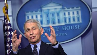 Lab run by Dr Anthony Fauci tested coronavirus strain shipped in from Wuhan year before pandemic began: Report