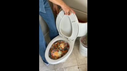 వింత పార్టీ...వింత ఆతిథ్యం: టాయిలెట్ కమోడ్ లో డ్రింక్ మిక్స్ చేసి తాగుతూ...(వీడియో)