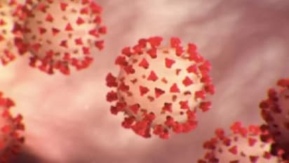 'ബ്രസീല് വൈറസ് കൊവിഡ് വ്യാപനം ശക്തമാക്കും, നേരത്തേ രോഗം വന്നവരില് വീണ്ടും വരാനും സാധ്യത'