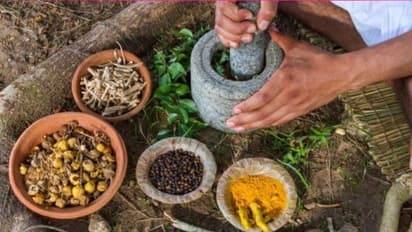 ಸೌಂದರ್ಯದಿಂದ, ಇಮ್ಯೂನಿಟಿ ಬೂಸ್ಟ್ ಹೆಚ್ಚಳಕ್ಕೆ ಅಜ್ಜಿ ಮಾತ್ ಕೇಳಿ!