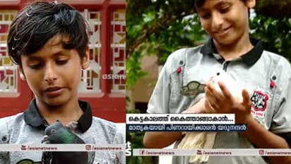 വാക്സീൻ വാങ്ങാൻ മുഖ്യമന്ത്രിക്ക് ഒരു കൈത്താങ്ങ്; പ്രാവിനെ ലേലം ചെയ്ത് പതിനൊന്നുകാരൻ!