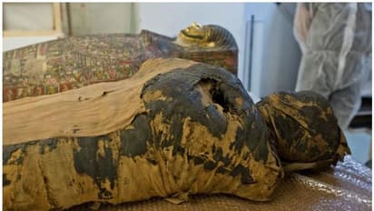 പുരോഹിതന്റെയെന്ന് കരുതി സൂക്ഷിച്ച മമ്മി; ഉള്ളില് കുഞ്ഞിക്കാൽ; പരിശോധിച്ചപ്പോൾ ഗർഭിണിയായ യുവതിയുടേത്!