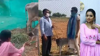 వీడియోతో ట్రోలర్స్ కి యాంకర్‌ సుమ మైండ్‌ బ్లాంక్‌ కౌంటర్‌.. తనతో పెట్టుకుంటే ఇక అంతే!