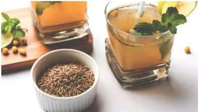 ദഹനപ്രശ്നങ്ങൾ അകറ്റാം, പ്രതിരോധശേഷി കൂട്ടാം; പരിചയപ്പെടാം ഒരു ഹെൽത്തി ഡ്രിങ്ക്