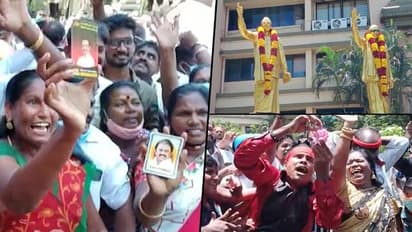 Despite EC ban on victory processions, DMK workers celebrate in large numbers
