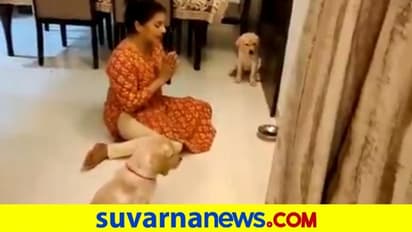 ಊಟಕ್ಕೂ ಮೊದಲ ಪ್ರಾರ್ಥನೆ..! ಈ ನಾಯಿಮರಿಗಳನ್ನು ನೋಡಿ