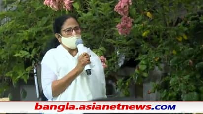 'বাংলার জয়, বাংলাই পারে' - জয়ের উচ্ছ্বাসে হুইল চেয়ার ত্যাগ করলেন মমতা