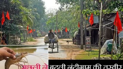 नंदीग्राम के किसानों को 'मछली' ने बनाया मालामाल, कभी दो वक्त की रोटी को तरसते थे, अब विदेश से आते फोन