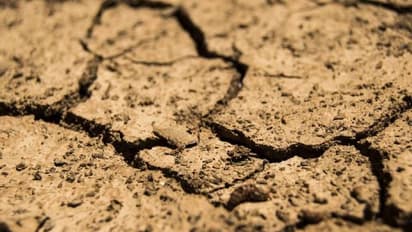 ഭക്ഷണത്തിനും വെള്ളത്തിനുമായി ഭാവിയില്‍ യുദ്ധമുണ്ടാവും, ഇല്ലെങ്കില്‍ ഈ തലമുറ ത്യാഗം ചെയ്യണം; യൂറോപ്യൻ യൂണിയന്‍