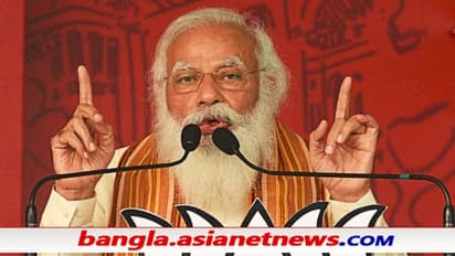 বঙ্গভোটে স্ট্রাইক রেট মাত্র ২৫%, নামের প্রতি সুবিচারে ব্যর্থ বিজেপির সেরা স্ট্রাইকার মোদী