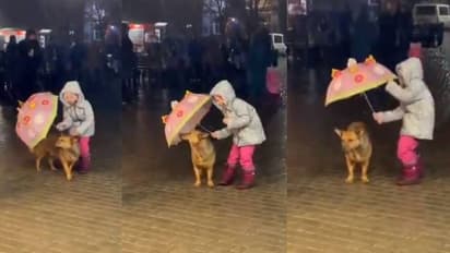 മഴ നനയാതെ നായയെ കുട ചൂടിച്ച് കുരുന്ന്; ഹൃദയം കവരുന്ന ദൃശ്യങ്ങൾ...