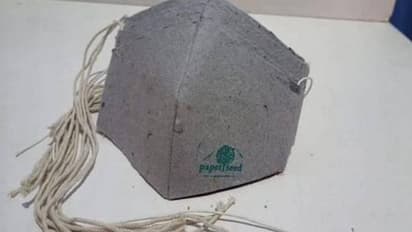 പ്രകൃതിക്ക് വലിയ അപകടമില്ലാതെ സീഡ് മാസ്കുകൾ, ചെടികൾ മുളച്ചുപൊങ്ങും