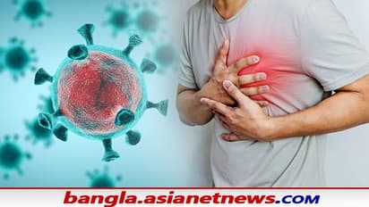 করোনা আতঙ্কে বাড়ছে স্ট্রোকের ঝুঁকি, বাঁচতে চাইলে প্রতিদিন পাতে রাখুন এই ৫ খাবার