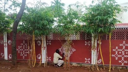 വീട്ടുമതിലിൽ കോലം വരയ്ക്കുന്നത് കണ്ടിട്ടുണ്ടോ? അമ്പരപ്പിച്ച് കലാകാരൻ