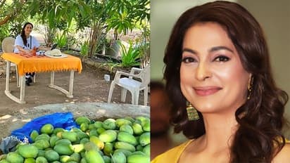 జూహీ చావ్లా ఫామ్ హౌస్ చూశారా..? ఎన్ని మామిడి పండ్లో..!