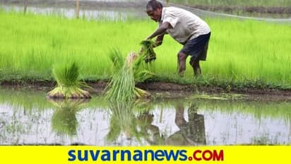 ಆತಂಕದ ನಡುವೆಯೂ ಸಿಹಿ ಸುದ್ದಿ : ಜೂ.1ರಿಂದಲೇ ಮುಂಗಾರು ಆರಂಭ