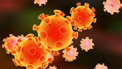 Battle against Covid-19: Ministry of defence okays hiring of 400 retired military doctors