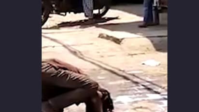 लॉकडाउन में बेबसी की तस्वीर: भूख से तड़प रहा था युवक, कहीं कुछ नहीं मिला तो सड़क पर गिरा दूध पी गया