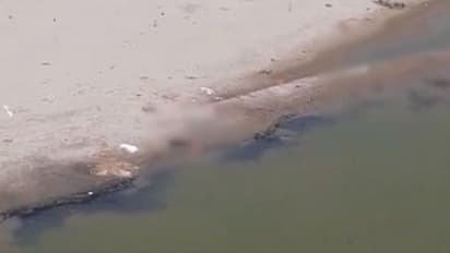 గంగానదిలో శవాలు : యూపీనుంచి కొట్టుకొచ్చినవే.. బీహార్..