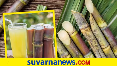  Vijayapura : ಕಬ್ಬಿಗೆ ಎಫ್‌ಆರ್‌ಪಿ ದರ ಘೋಷಣೆಗೆ ಆಗ್ರಹ