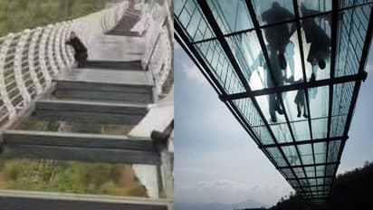 വീശിയടിച്ച കാറ്റില് ചില്ലുപാലം തകര്ന്നു, വിനോദസഞ്ചാരിക്ക് അത്ഭുത രക്ഷപെടല്