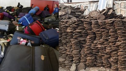 ബാഗില് ഉണക്കിയ ചാണകം; അമേരിക്കയിലെ വിമാനത്താവളത്തിലെത്തിച്ചത് എയര് ഇന്ത്യ യാത്രക്കാരന്