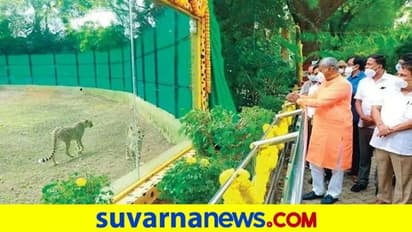 ಪ್ರಾಣಿಗಳಿಗೂ ಕೊರೋನಾ ಆತಂಕ: ಸಚಿವ ಸೋಮಶೇಖರ್ ಖುದ್ದು ಮೈಸೂರು ಝೂಗೆ ಭೇಟಿ
