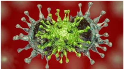 കൊറോണ വൈറസിന്റെ ഇന്ത്യന്‍ വകഭേദമായ ബി 1617 ആഗോളതലത്തില്‍ തന്നെ ആശങ്കയുണ്ടാക്കുന്നതായി ലോകാരോഗ്യ സംഘടന