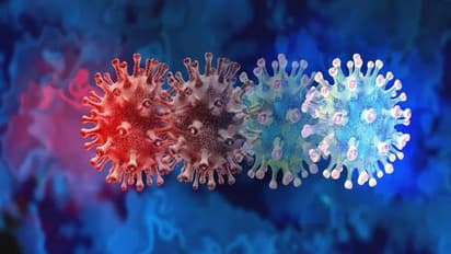 Rajasthan: Villagers in Badoda follow covid protocols meticulously to keep numbers under check