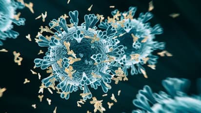 భారతదేశంలో కోవిడ్-19 సెకండ్ వేవ్ ఎలా మొదలైంది.. దీనిపై ప్రశ్నలు ఇంకా సమాధానాలు..