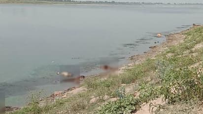 ഗംഗയില് മൃതദേഹങ്ങള് ഒഴുകിയെത്തിയ സംഭവം; വെള്ളത്തിലൂടെ കൊറോണ വൈറസ് പടരുമോയെന്ന് ആശങ്ക