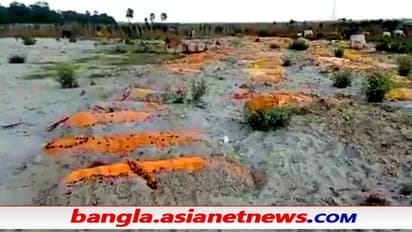 গঙ্গার পাড়ে বালিতে পোতা সার সার দেহ - দুর্গন্ধে ছেয়েছে এলাকা, ছড়াচ্ছে কোভিড আতঙ্ক, দেখুন