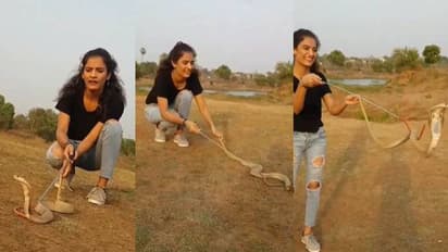 മൂര്ഖന് പാമ്പിനെ കയ്യിലെടുത്ത് യുവതിയുടെ അഭ്യാസ പ്രകടനം; വീഡിയോ വൈറല്