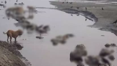 గంగానదిలో మృతదేహాలు: కేంద్రానికి ఎన్హెచ్ఆర్సీ నోటీసులు