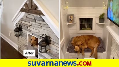 3 ಲಕ್ಷಕ್ಕೂ ಹೆಚ್ಚು ಖರ್ಚು ಮಾಡಿ ನಾಯಿಗೊಂದು ಮನೆ ಕಟ್ಟಿದ, TVನೂ ಇದೆ..!