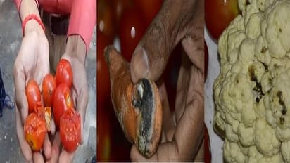 ऐसे जीतेंगे जंगःकोरोना वारियर्स स्वास्थ्य कर्मियों को ही परोसा जा रहा सड़ा-गला-बासी खाना,वायरल हो रही तस्वीरें