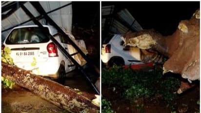 തിരുവനന്തപുരത്ത് വ്യാപക നാശം; കനത്ത മഴയില് പലയിടത്തും മരങ്ങൾ കടപുഴകി വീണു