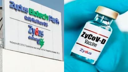 India’s vaccination boost: Centre places order for 1 crore doses of Zydus Cadila's needle-free COVID vaccine