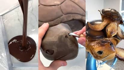 ഇത് ചോക്ലേറ്റ് കൊണ്ടുള്ള കടലാമ; വീഡിയോ പങ്കുവച്ച് ഷെഫ്; അമ്പരന്ന് സോഷ്യല് മീഡിയ