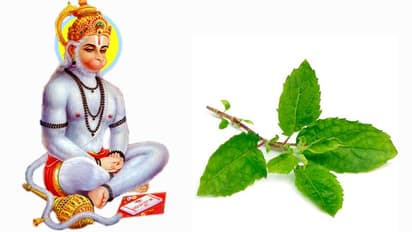 హనుమజ్జయంతి