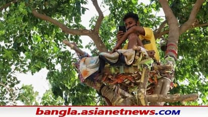 কোভিড-এ বেআব্রু গ্রমীণ ভারত, গাছেই আইসোলেন ওয়ার্ড বানালেন করোনা আক্রান্ত