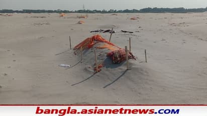 পবিত্র প্রয়াগরাজ যেন 'সমাধিস্থল', গঙ্গার চরে শতাধিক দেহ ঘিরে প্রবল চাঞ্চল্য
