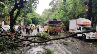 టౌటే తుఫాన్ ఎఫెక్ట్: ముంబైని ముంచెత్తిన వానలు,  కేరళ, కర్ణాటక, గోవా రాష్ట్రాల్లో జోరు వర్షాలు