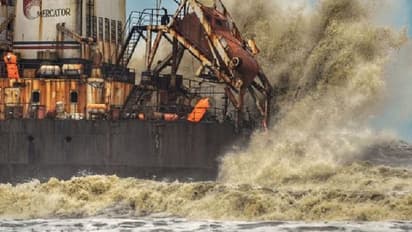 तबाही मचाने लगा तौकते तूफान: टूटते पेड़, उड़ती छतें..देखिए विनाशकारी मंजर की तस्वीरें