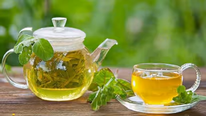 পুজোর আগে মেদ ঝরাতে দিনে ৩--৪ বার গ্রিন টি পান করছেন, শরীরের কোনও ক্ষতি হচ্ছে না তো?