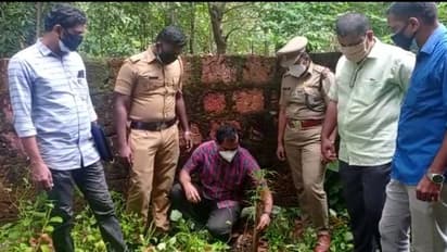 തിരൂരിൽ സ്കൂൾ പരിരസരത്ത് കഞ്ചാവ് ചെടി കണ്ടെത്തി