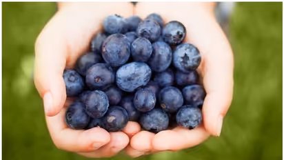 ബ്ലൂബെറി കഴിക്കൂ ; ഈ രോ​​ഗങ്ങൾ അകറ്റി നിർത്താം 